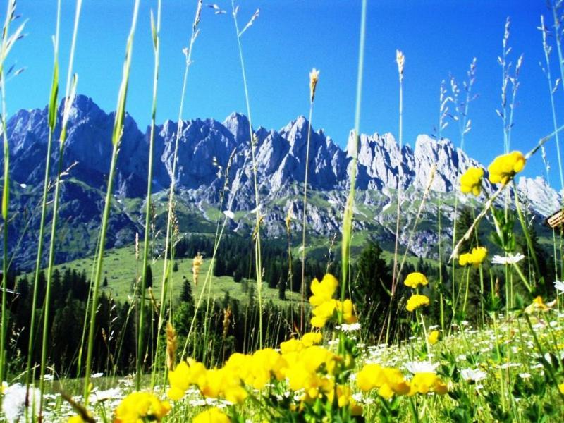 Gaestehaus Gschwandtner Mühlbach am Hochkönig Esterno foto
